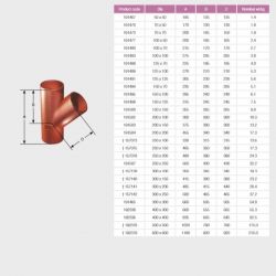 Pam Building Ensign Cast Iron 45 degree Branch EF006