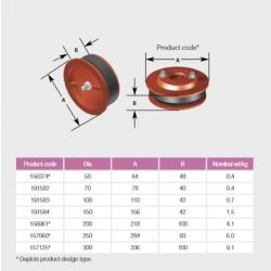 Pam Building Ensign Cast Iron Expansion Plugs EF074